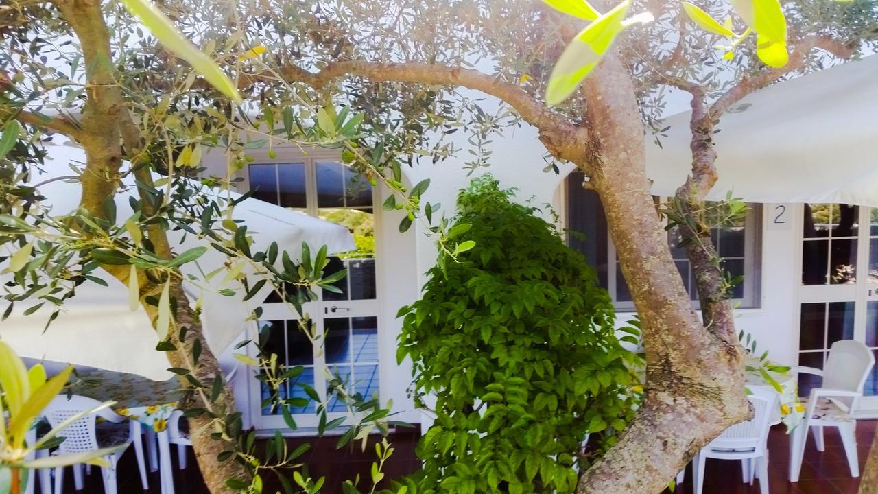 Appartamenti Luongo Forio di Ischia Exterior foto