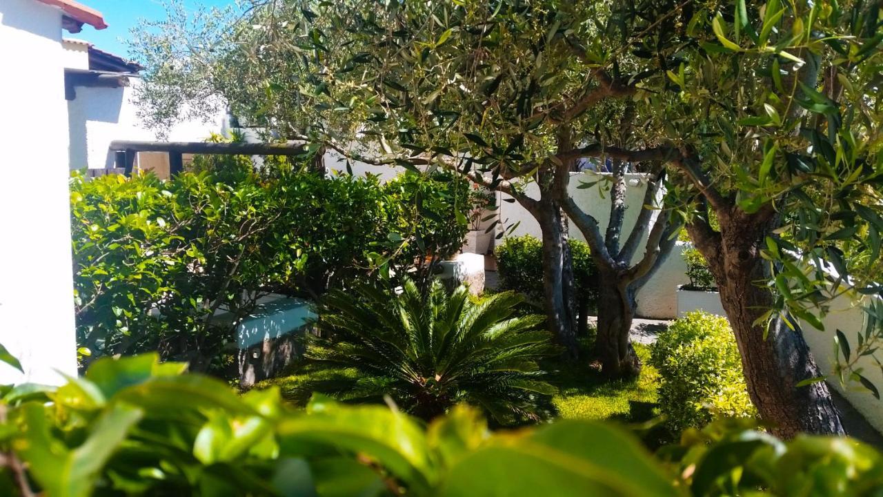 Appartamenti Luongo Forio di Ischia Exterior foto